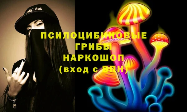 а пвп мука Богданович