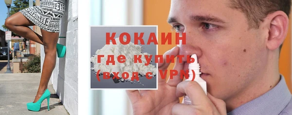дживик Богородицк