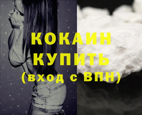дживик Богородицк