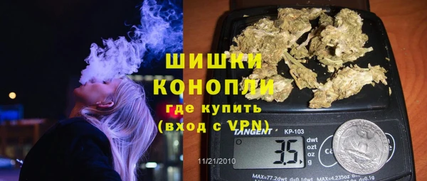 дживик Богородицк